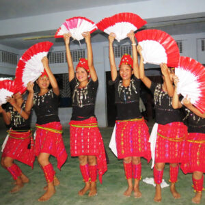 Miao Youth Festival 2014