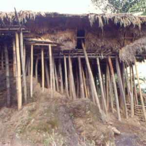 houseonstilts Khonsa
